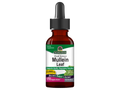 Nature’s Answer Mullein Leaf liquid extract low alcohol 2000mg 60ml bottle front view on a white background