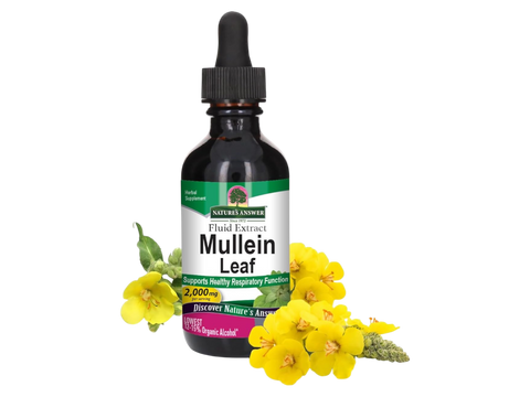 Nature’s Answer Mullein Leaf liquid extract low alcohol 2000mg 60ml bottle front view on a white background