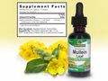 Nature’s Answer Mullein Leaf Extract alcohol-free liquid 30ml ingredients and directions