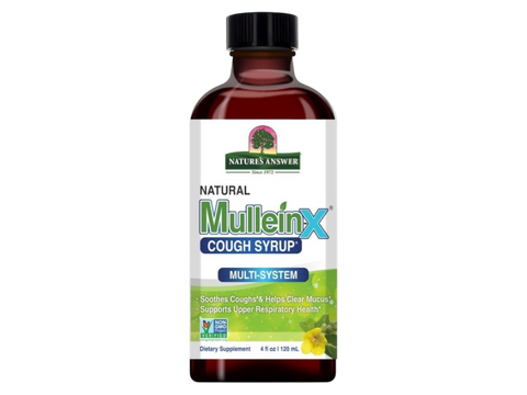 Nature’s Answer Mullein-X Herbal Liquid Supplement 120ml bottle front view