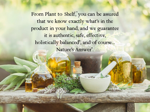 Nature’s Answer Mullein Leaf Herbal Liquid Supplement - 120ml
