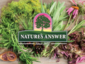 Nature’s Answer Mullein Leaf Herbal Liquid Supplement - 120ml