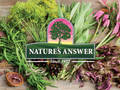 Nature’s Answer Mullein Leaf Herbal Liquid Supplement