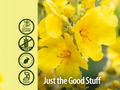 Yellow flowers with 'Just the Good Stuff' branding and certification logos on a beige background