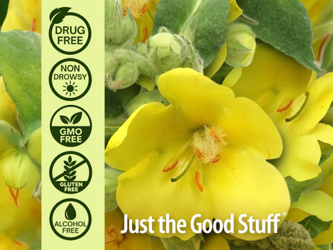 Nature’s Answer Mullein Leaf Herbal Liquid Supplement with Honey 120ml