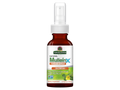 Nature’s Answer Mullein-X Throat Spray Peppermint 60ml bottle front view on a white background