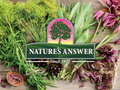 Nature’s Answer Mullein Leaf Herbal Oral Spray Peppermint 