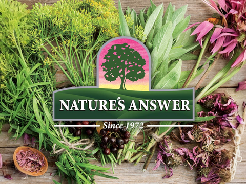 Nature’s Answer Mullein Leaf Herbal Oral Spray Peppermint 