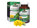 Nature's Answer Mullein Leaf Vegan Capsules 90 count supplement front box & bottle label