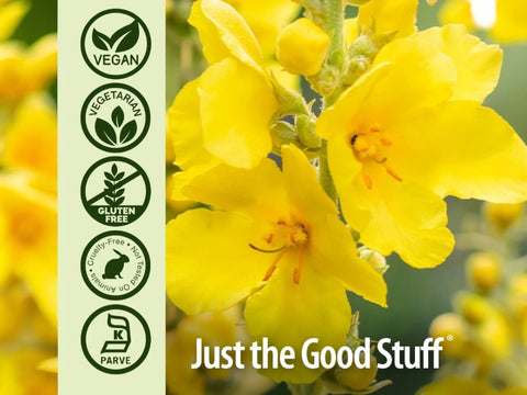 Nature's Answer Mullein Leaf Vegetarian Capsules - 90 Count