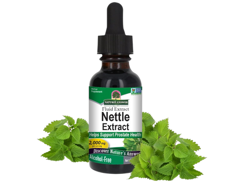 Nature’s Answer Nettle Leaf alcohol-free liquid extract 30ml bottle front label