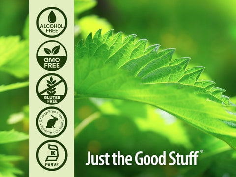 Nature’s Answer Nettle Leaf Alcohol-Free Extract - 30ml
