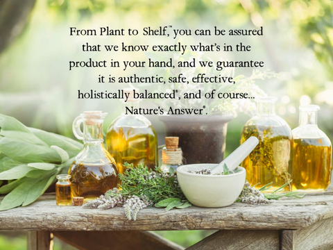 Nature’s Answer Oil of Oregano Leaf Alcohol-Free Liquid Extract - 30ml