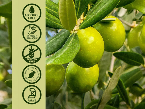 Nature’s Answer Olive Leaf Alcohol-Free Liquid Extract - 60ml