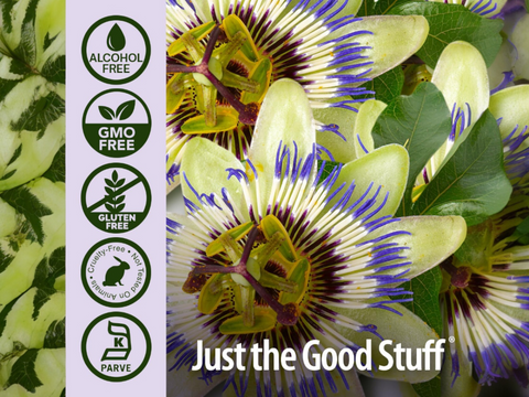 Nature’s Answer Passionflower Alcohol-Free Liquid Extract - 30ml