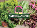 Nature’s Answer PerioBrite Cinnamint Mouthwash Alcohol-Free