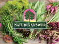 Nature’s Answer PerioBrite Whitening Toothpaste Wintermint