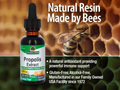 Nature’s Answer Propolis Extract Alcohol-Free Liquid - 30ml