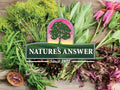 Nature’s Answer Propolis Extract Alcohol-Free Liquid - 30ml