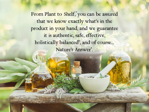 Nature's Answer Raspberry Liquid Extract Alcohol-Free