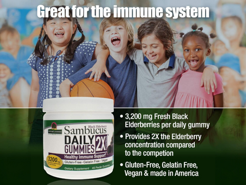 Nature’s Answer Sambucus Elderberry Daily Gummies – 45 Count