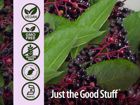 Nature’s Answer Sambucus Elderberry Liquid Extract - 120ml