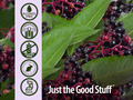 Nature’s Answer Sambucus Elderberry Spray Alcohol-Free - 60ml