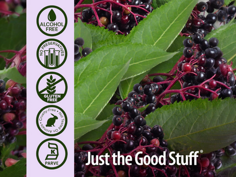 Nature’s Answer Sambucus Elderberry Spray Alcohol-Free - 60ml