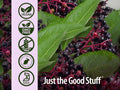 Nature’s Answer Sambucus Kids Elderberry Liquid - 120ml