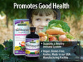 Nature’s Answer Sambucus Kids Elderberry Liquid - 120ml