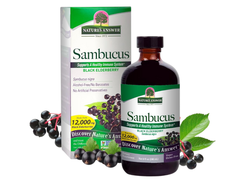 Nature’s Answer Sambucus elderberry extract syrup alcohol free 240ml bottle & box front view on a white background