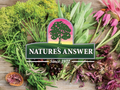 Nature’s Answer Sambucus Nigra Food Supplement for Kids 
