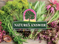 Nature’s Answer Saw Palmetto Berry Liquid Extract - 60ml