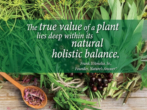 Nature’s Answer Schisandra Berry Alcohol-Free Liquid Extract - 30ml
