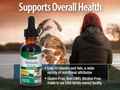 Nature’s Answer Shiitake Mushroom Alcohol-Free Liquid Extract - 30ml
