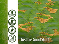 Nature’s Answer Slippery Elm Alcohol-Free Liquid Extract