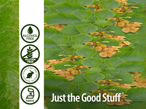 Nature’s Answer Slippery Elm Alcohol-Free Liquid Extract
