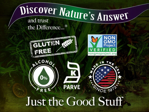 Nature's Answer Turmeric-3 Alcohol-Free Liquid Extract 