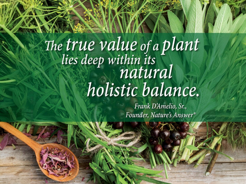 Nature's Answer Turmeric-3 Alcohol-Free Liquid Extract 