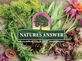 Nature’s Answer Valerian Root Herbal Supplement