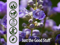 Nature’s Answer Vitex Agnus-Castus Herbal Capsules - 90 Count