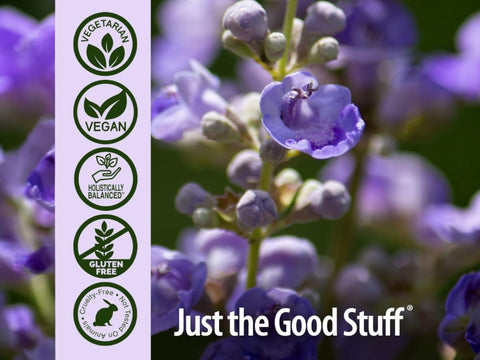 Nature’s Answer Vitex Agnus-Castus Herbal Capsules - 90 Count
