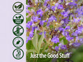 Nature’s Answer Vitex Chasteberry Vegetarian Capsules - 90 Count