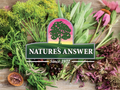 Nature’s Answer White Ginseng Root Liquid Extract - 30ml