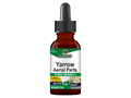 Bottle of Yarrow aerial parts extract with dropper on a white background