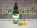 Yarrow extract bottle with plants and flowers on a neutral background