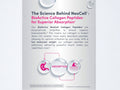 NeoCell Grass Fed Collagen Peptides Tablets key benefits graphic