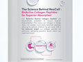NeoCell Grassfed Collagen Peptides Plus Vitamin C Tablets 120 count key benefits graphic