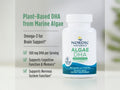 Nordic Naturals Algae DHA 500mg Vegan Omega-3 DHA – 60 Softgels ingredients and product details panel