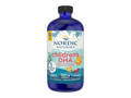 Nordic Naturals Children's DHA Fish Oil 530mg Omega-3 Liquid Strawberry Flavour – 473ml bottle front label
